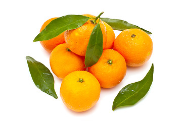 Image showing Ripe tangerines on white background