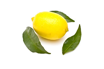 Image showing Ripe lemon on white background