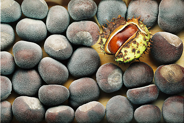 Image showing chestnuts