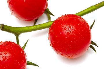 Image showing Ripe cherry tomatoes on white background