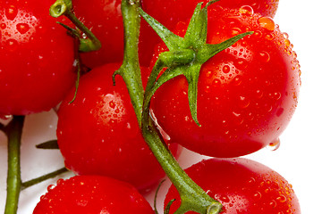 Image showing Ripe cherry tomatoes on white background