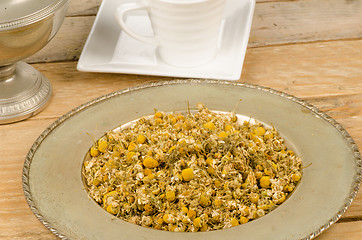 Image showing Camomile herb