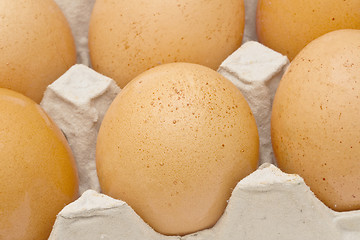 Image showing Brown eggs in a carton package closeup