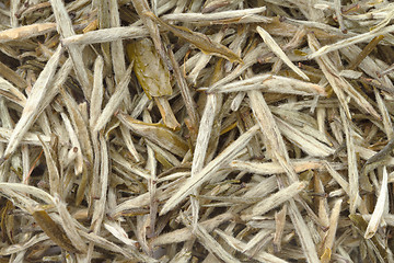 Image showing Chinese white tea as background