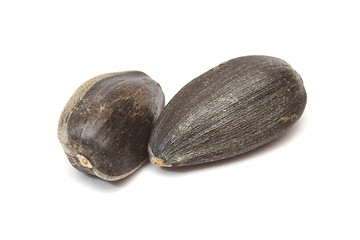 Image showing Sunflower seeds 