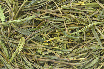 Image showing Chinese green tea as background