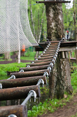 Image showing adventure climbing high wire park