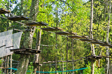 Image showing Dangerous ropeway with tether in rope park, trees with green lea