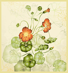 Image showing Greeting card with nasturtium. Illustration nasturtium.   Beauti