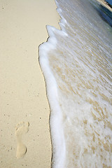 Image showing Tropical Beach