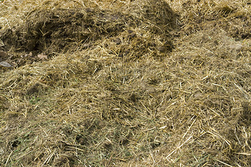 Image showing manure detail