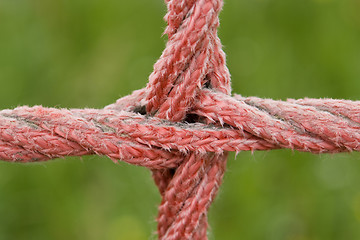 Image showing red rope detail