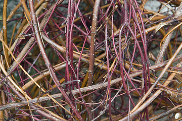 Image showing lots of twigs