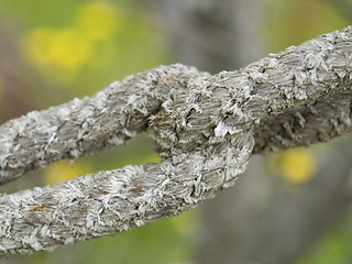 Image showing old rope detail