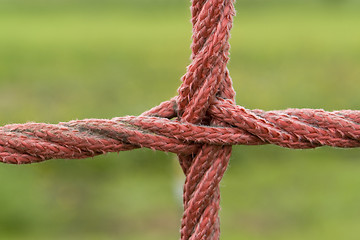 Image showing red rope detail