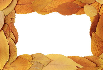 Image showing autumn frame