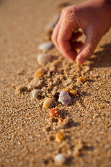 Image showing Playing with shells