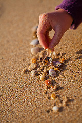 Image showing Playing with shells