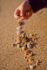 Image showing Playing with shells
