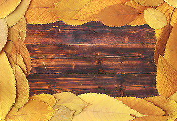 Image showing cherry faded leaves frame