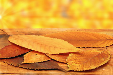 Image showing cherry leaves in beautiful autumn setting