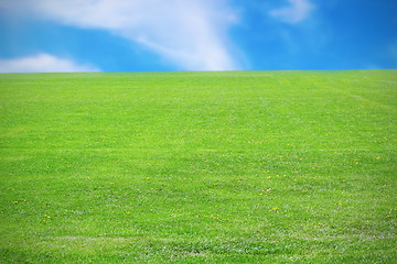 Image showing green meadow