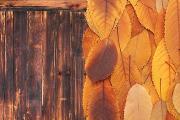 Image showing orange leaves on old wooden table