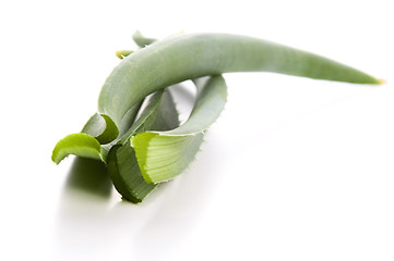 Image showing Aloe vera - herbal medicine 