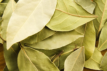 Image showing bay leafs
