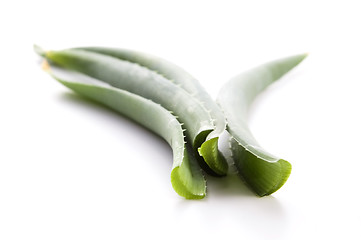 Image showing Aloe vera - herbal medicine 