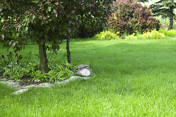 Image showing peaceful garden