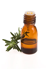 Image showing Rosemary oil