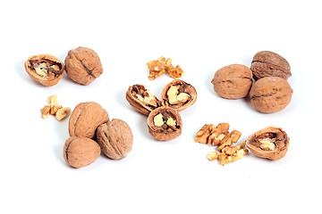 Image showing Walnuts