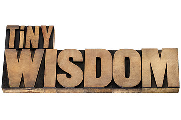 Image showing tiny wisdom in wood type