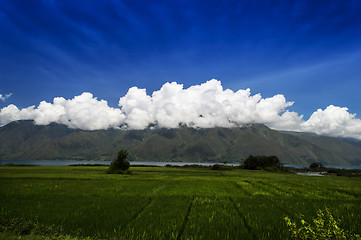 Image showing Village Landscape, Samosir Island.