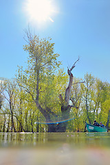 Image showing boat in summer on danube river