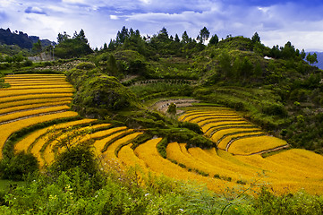 Image showing Terraces of Grain.