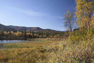 Image showing  landscape 