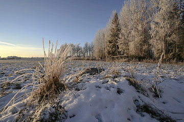 Image showing Winter Landscape