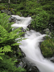 Image showing mountain stream 