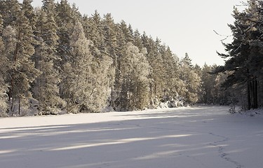 Image showing Lake