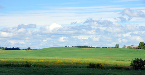 Image showing Meadow and clouds