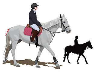 Image showing White horse and lady jockey