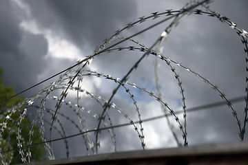 Image showing barbed wire,