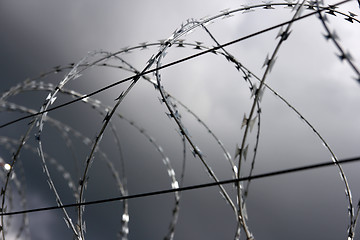 Image showing barbed wire,