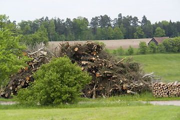 Image showing firewood pile in rural ambiance