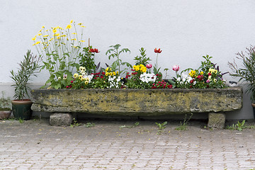 Image showing manger and flowers