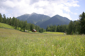 Image showing Meadow