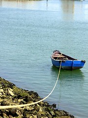 Image showing Cockle-boat of fishes