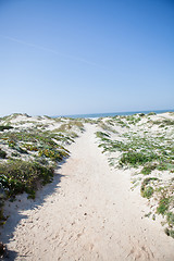 Image showing Path to beach